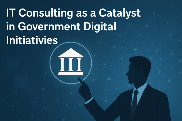 IT consulting for government transformation